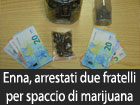 Enna, arrestati due fratelli per spaccio di marijuana