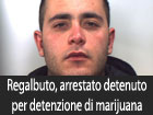 Regalbuto, arrestato un detenuto ai domiciliari per detenzione di marijuana