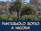 Punteruolo rosso a Nicosia