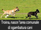 Troina, nasce l’area comunale di sgambatura dei cani