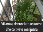 Villarosa, denunciato un uomo che coltivava marijuana nel balcone di casa