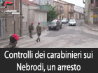 Controlli dei carabinieri nell’area dei Nebrodi, un arresto