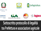 Sottoscritto protocollo di legalità tra Prefettura di Enna e le associazione degli agricoltori