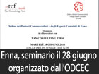 L’ordine dei commercialisti organizza il 28 giugno un seminario presso la camera di commercio di Enna