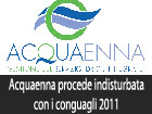 Assoconsumatori-AssoConsum: mentre i sindaci sognano Acquaenna rilancia e procede indisturbata con i conguagli 2011