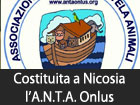 Si è costituita a Nicosia la ANTA Onlus, l’Associazione Nazionale Tutela Animali