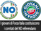 Forza Italia Giovani Enna: al via i comitati per il ‘’NO’’ alla riforma costituzionale