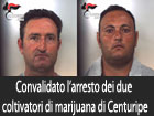 Convalidato l’arresto dei due coltivatori di marijuana di Centuripe