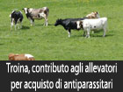 Troina, al via il concorso di idee per l’ampliamento e la riqualificazione di piazza Gramsci