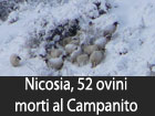 Troina, al via il concorso di idee per l’ampliamento e la riqualificazione di piazza Gramsci