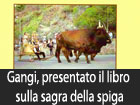 Troina, al via il concorso di idee per l’ampliamento e la riqualificazione di piazza Gramsci