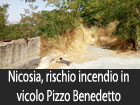 foto telenicosia