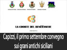 Troina, al via il concorso di idee per l’ampliamento e la riqualificazione di piazza Gramsci