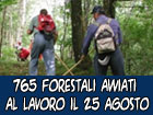 765 lavoratori forestali al lavoro dal 25 agosto